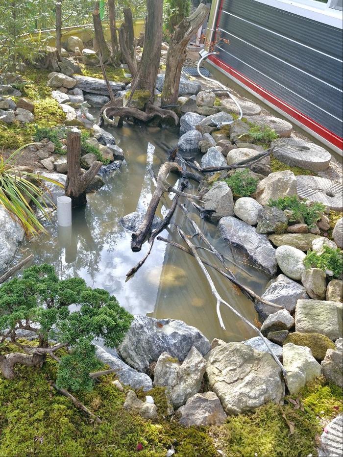 235149625_2xvEZcoP_1778a5a0cd54cf8715e30c04ddd77b5d22205eeb.jpg 이미지크게보기