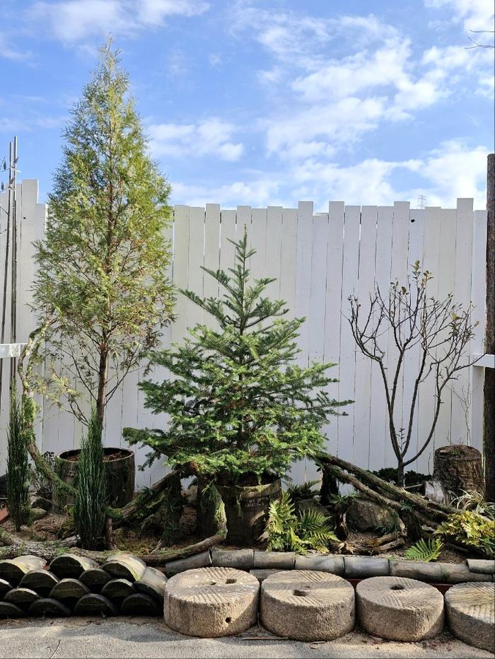 235149625_lTLhzkKE_c40d54aa8bdd27fa13de29c3af90013030b97745.jpg 이미지크게보기