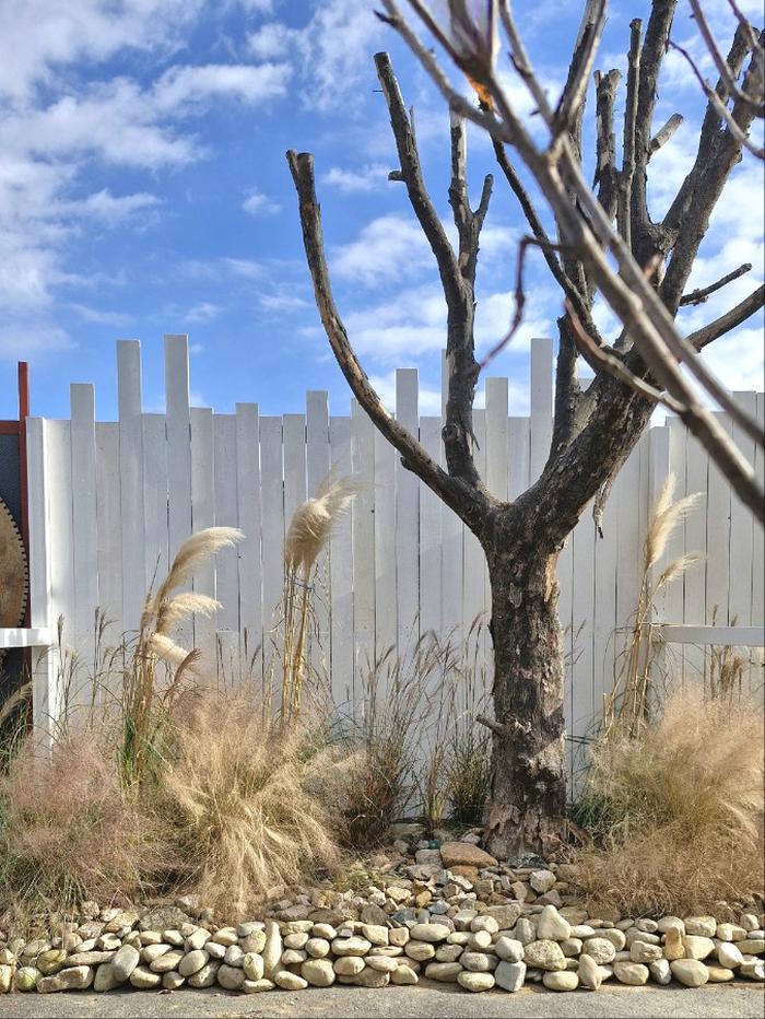 235149625_tsNJDP7L_cc9a4b55dadec33bf3843e4a09c69f200426754d.jpg 이미지크게보기