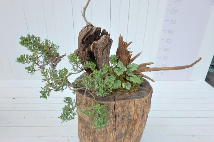 235149625_70c8qSKu_e58fa30eb0dc617b7c59a67264213161d80e506c.jpg 이미지크게보기