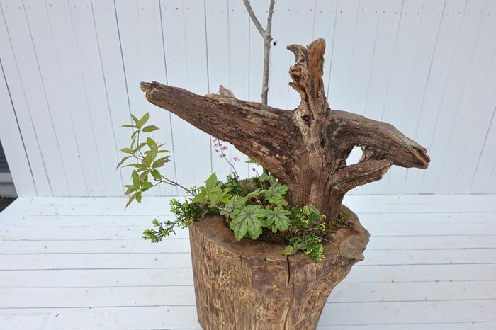 235149625_NX8me4QH_622ce17f40b5dcb32b964bba5d7f2d490f55c7cf.jpg 이미지크게보기