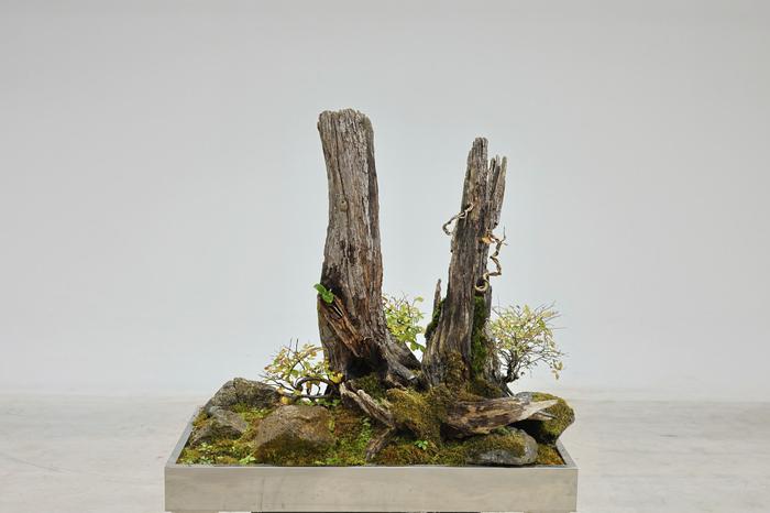 235149625_oF2R6c9k_ac2ba7747c38a074cd68b061c4caf7eb9867bad5.jpg 이미지크게보기