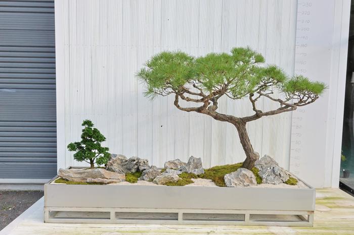 235149625_JIGxZk6F_b1d62733b9e0fa4904ec7183e20f39026e739328.jpg 이미지크게보기