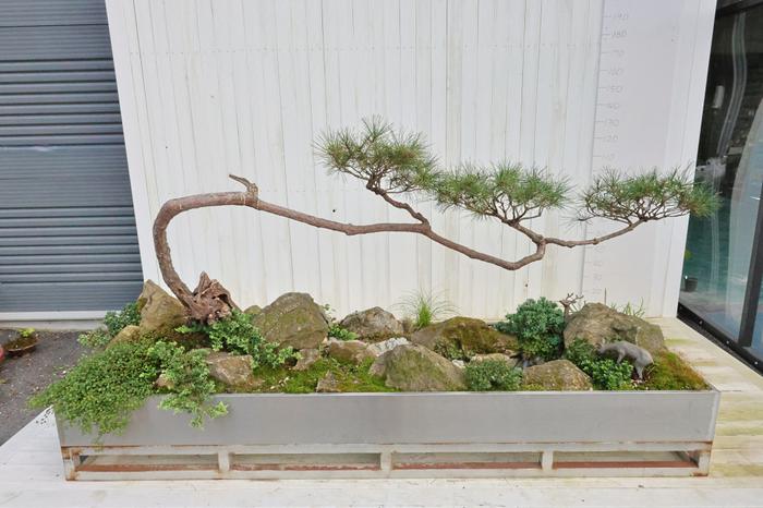 235149625_RrvNH2MY_3296fa06968d1cbb37030e13bccb0b2c6444edc6.jpg 이미지크게보기