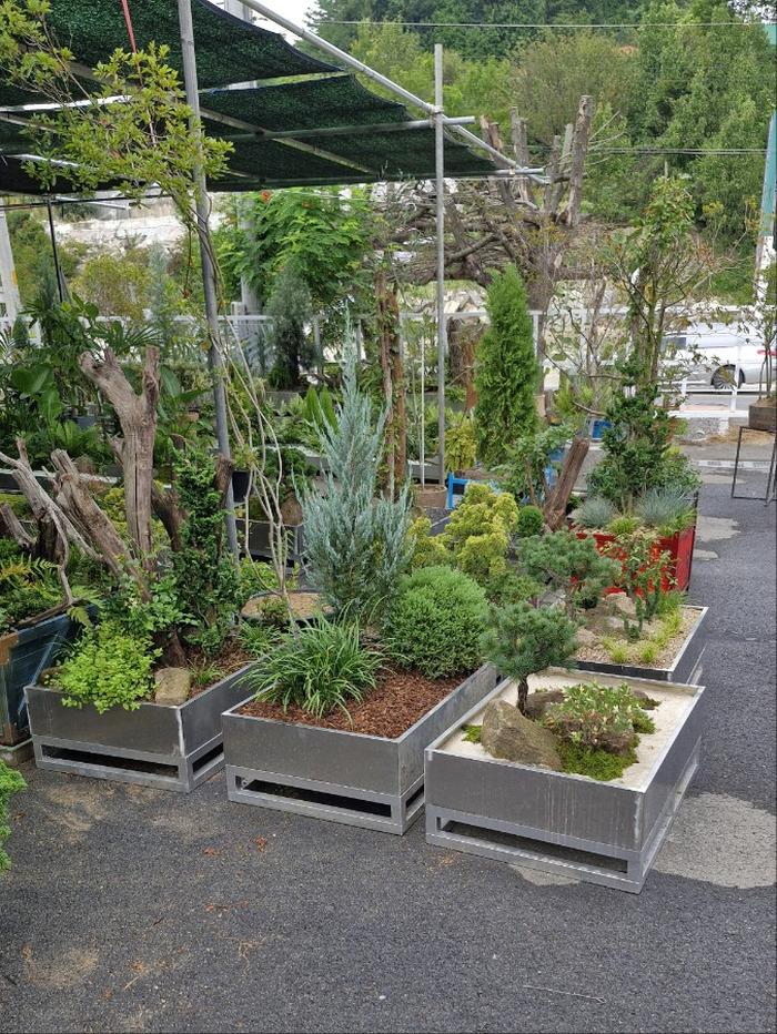 235149625_kSnj1dlK_b6594d9617e29a99daa3382ed9182f632c93802c.jpg 이미지크게보기