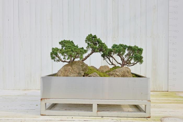 235149625_lAcEx0Ia_16b48501747d405c919c5919064579625d9e9259.jpg 이미지크게보기