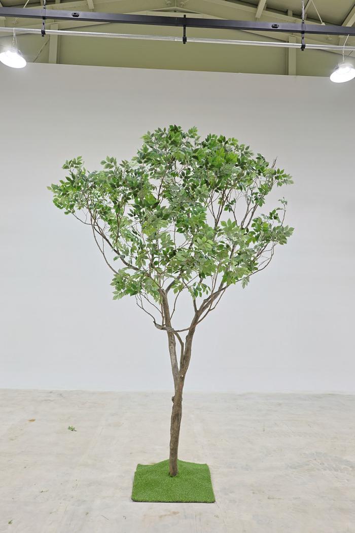 235149625_N97RoQuO_de4d6da5a61cf9af620d2f0c8605c6b2f9d4d64f.jpg 이미지크게보기