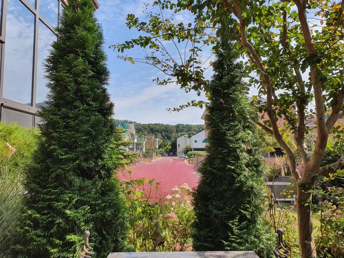 235149625_019Kisrx_88840d3281664136d32debc42d8aee6d02238353.jpg 이미지크게보기