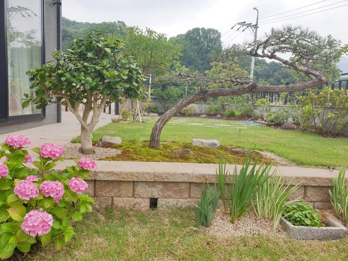 235149625_0jvAsxyb_4983dd59e658aaa2a250876658945f96854e2ae9.jpg 이미지크게보기