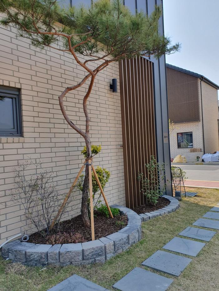 235149625_1o9CaJjy_9ab2ddc28035eb10d5b7e97e9d220fc05ff69314.jpg 이미지크게보기