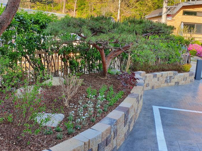 235149625_3Uxr0luc_c4d87ac744b3ca462972e5167e8e82cbc9638811.jpg 이미지크게보기