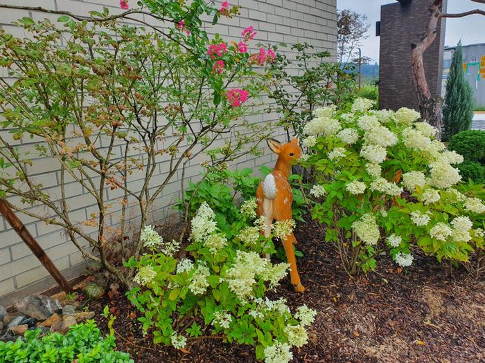 235149625_7OHDFU0o_eabf49f90a2645c018fb103662fb01a2ee46cc3d.jpg 이미지크게보기