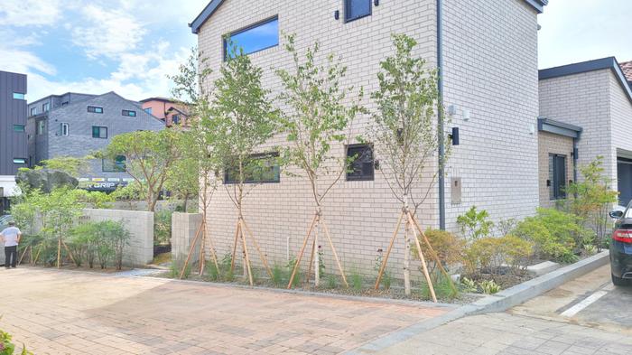 235149625_87uZyeQS_dc2fb21026be362c38eee8f0ae6c5892dfe141c0.jpg 이미지크게보기