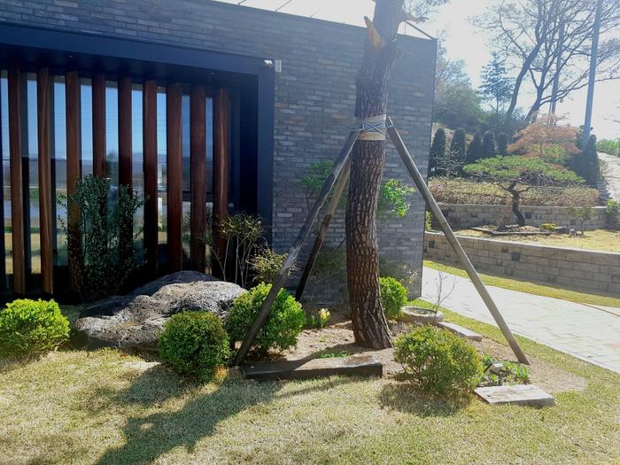 235149625_B5PedyT1_2e12774ee6932b2d133cc26ecbe359dd67be0e8c.jpg 이미지크게보기