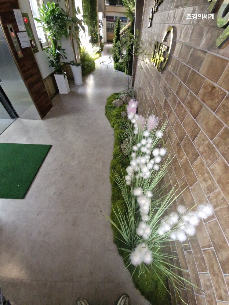 235149625_CftDSNls_3145109d5c6dd9d165807e1977d4a84069fa8dd5.jpg 이미지크게보기