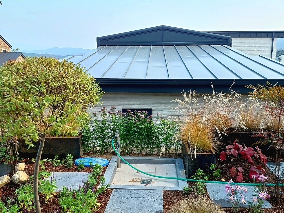 235149625_DXsnW7EF_a465b49fa4899f78c35e49a7434b3678b422abb8.jpg 이미지크게보기