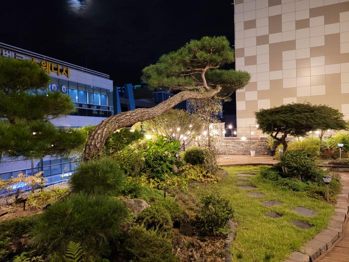 235149625_GnkQbKo0_7680c3f597d0beca106423d215d6f4538a2098bd.jpg 이미지크게보기