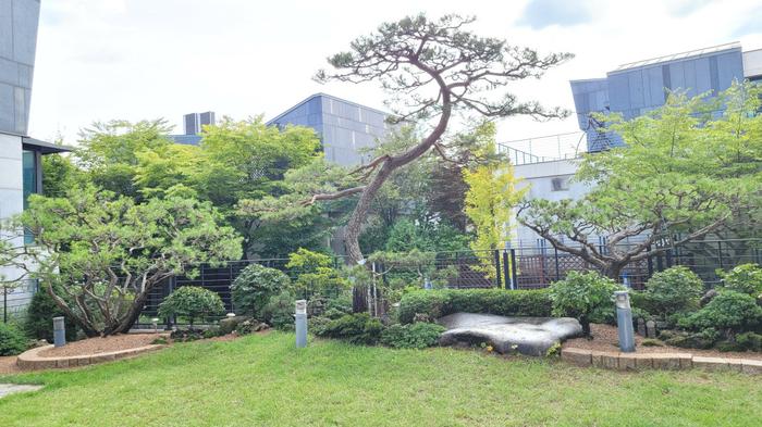 235149625_HMbzo0wk_8ce9a26bfa614da6d0a7959ec17e5fa389d49743.jpg 이미지크게보기