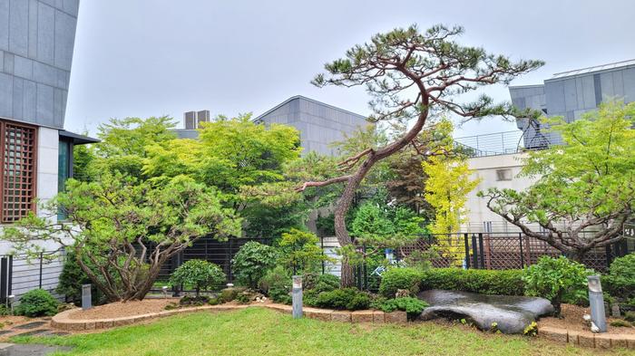 235149625_LWOnegU5_677cba7d083d126680870745516e25c29f96e4b4.jpg 이미지크게보기