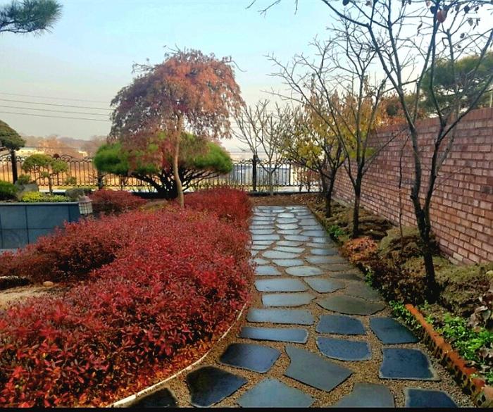 235149625_MfmWvFKk_66be151f01e50f9e855cce53d6087e1a976c69b4.jpg 이미지크게보기