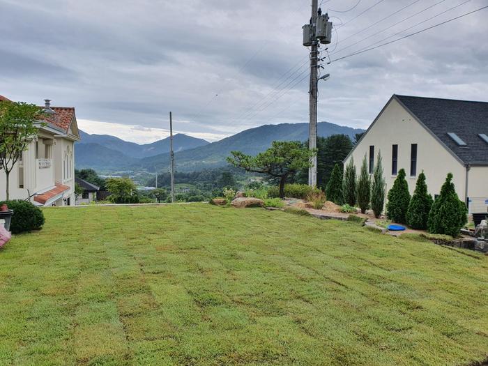 235149625_NTdzb984_fff9ee867662e9973ce3a9b1a1ae380c10ee7828.jpg 이미지크게보기