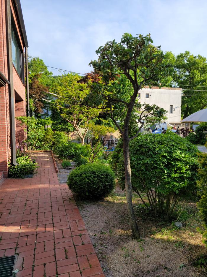 235149625_Qc0b8vSL_963b51375c838f413936ed906ded7d13bd624f9a.jpg 이미지크게보기