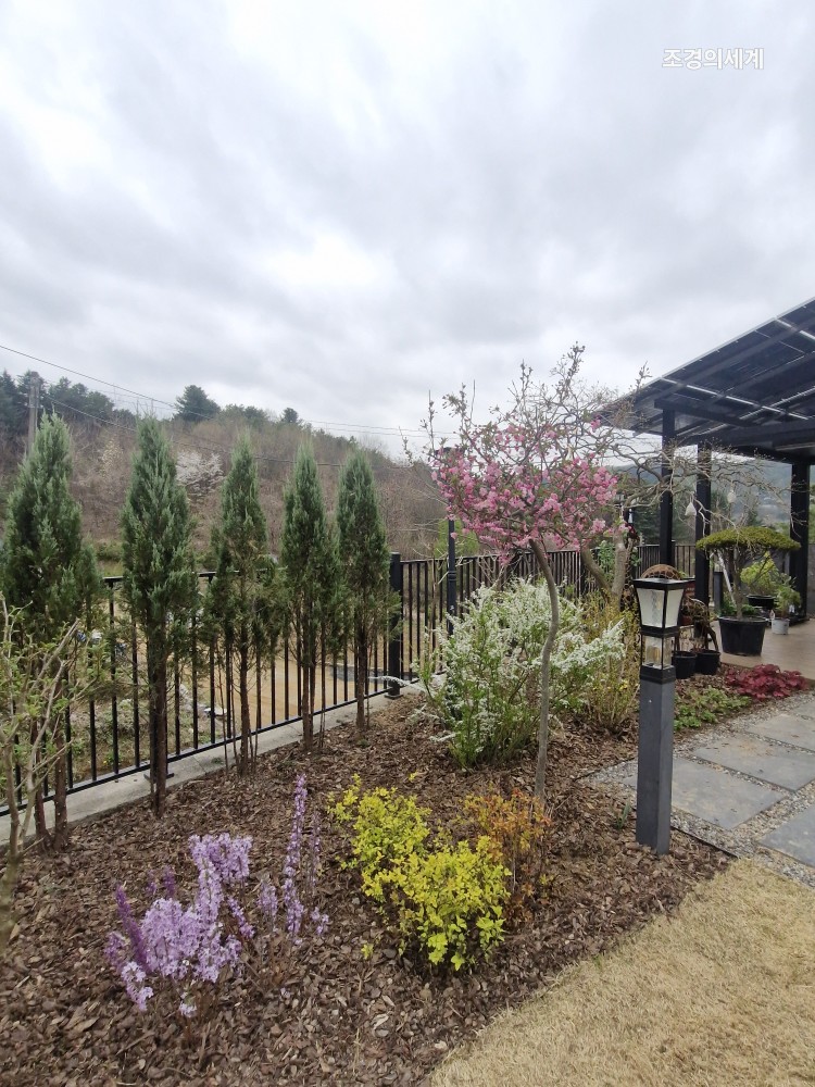 235149625_Qz2OtKGJ_34f561b88d8e6b3cb0e27a4fc50caaad111f6180.jpg 이미지크게보기