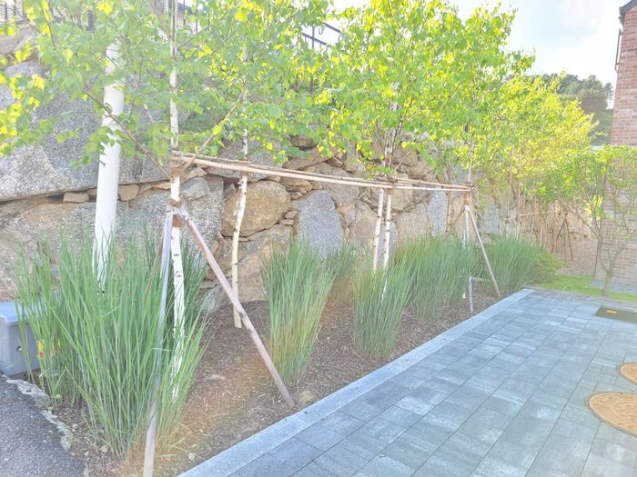 235149625_VD3kLJA0_5b3caeb15f204abdbe3ef3e10ed0f62258a4bd33.jpg 이미지크게보기