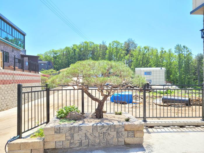 235149625_btYVl9nB_e9bb4f6466842c715ac3a3927b25a996c840ca95.jpg 이미지크게보기