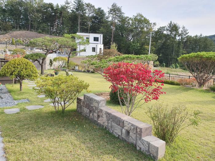 235149625_cEeRwnkv_1b6b4a294abbcd542b0cb2956912270c24444eef.jpg 이미지크게보기