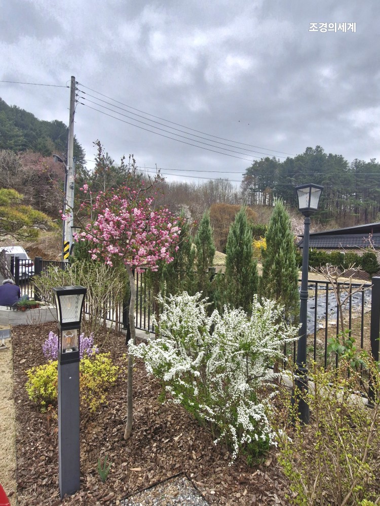 235149625_d4vOY5zl_5da86cdadc3ebdae896be737e3268c041c10ae83.jpg 이미지크게보기