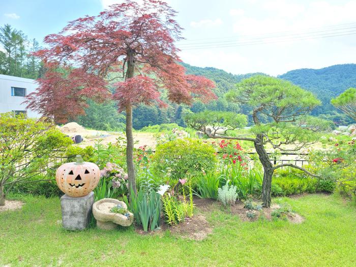 235149625_dLusV6lN_4fe168534e662f5a5a559babed1005a27836cb20.jpg 이미지크게보기