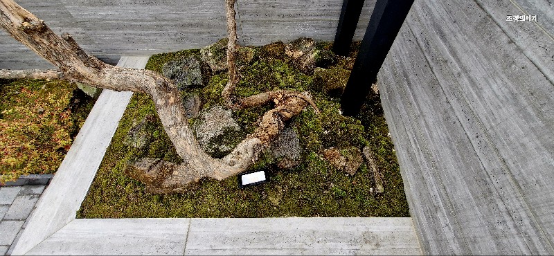 235149625_hQ0tviIY_9086e3a4f8ddd7bcc3884f5a10a5147e335435bf.jpg 이미지크게보기