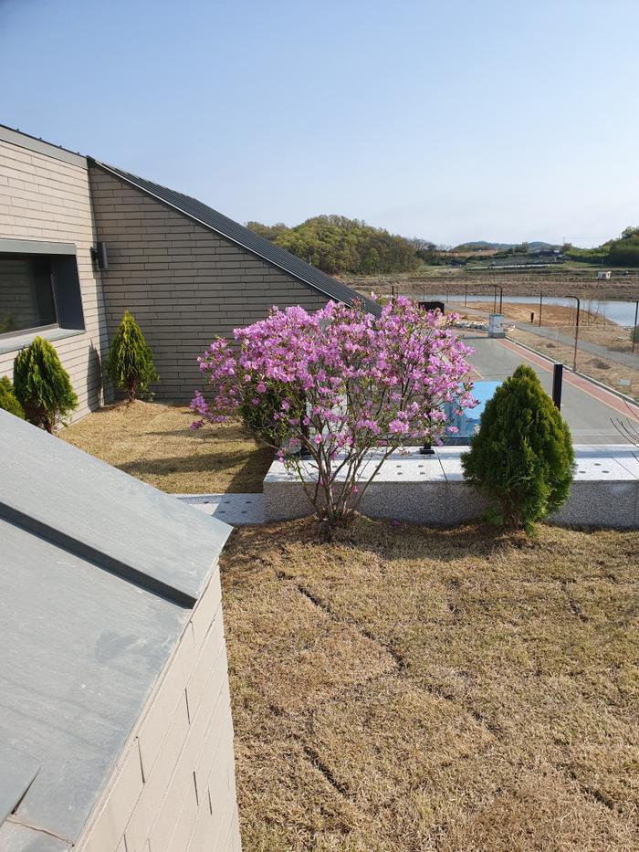 235149625_io8sIT4q_831800257703aee500c2c0377ac0cad453fddf19.jpg 이미지크게보기