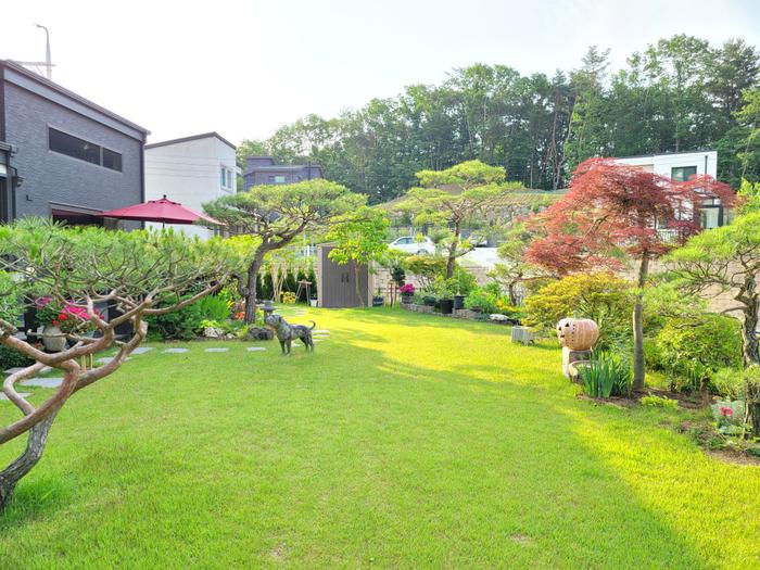 235149625_pgIEUSdR_37e8ee07abcb7a123a14dfd8a37d19790f3d669a.jpg 이미지크게보기