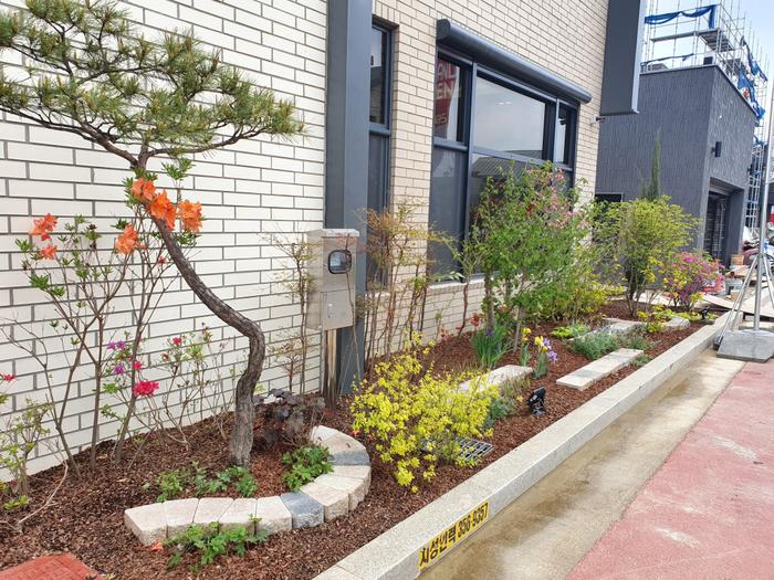 235149625_rNcPUaH0_6ac9493cb9df1f9cc26f5e80b9231ea361ebc6d0.jpg 이미지크게보기