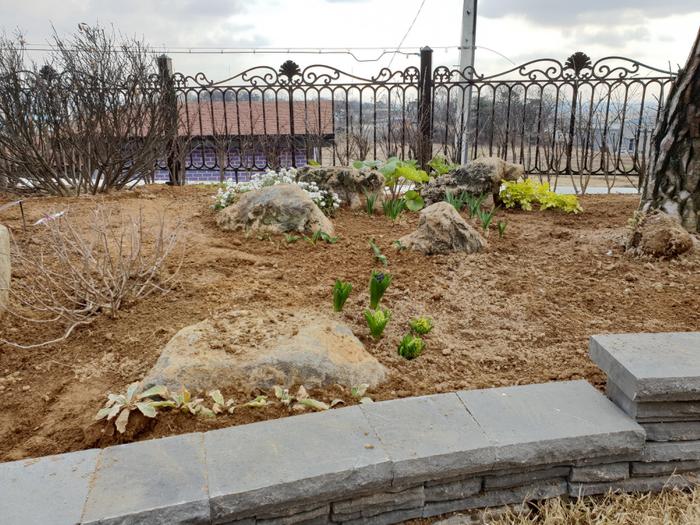 235149625_t0KlHD4i_f194790da6d2502371b2041bedabd0dcf49dde4e.jpg 이미지크게보기