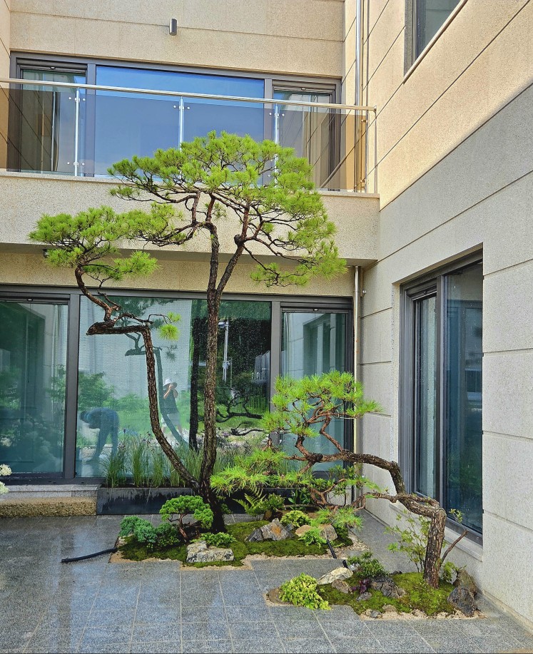 /user/s/ss5340/editor/2508/5dff1c71516d772906252af5f7193521_1754277031_7704.jpg 이미지크게보기