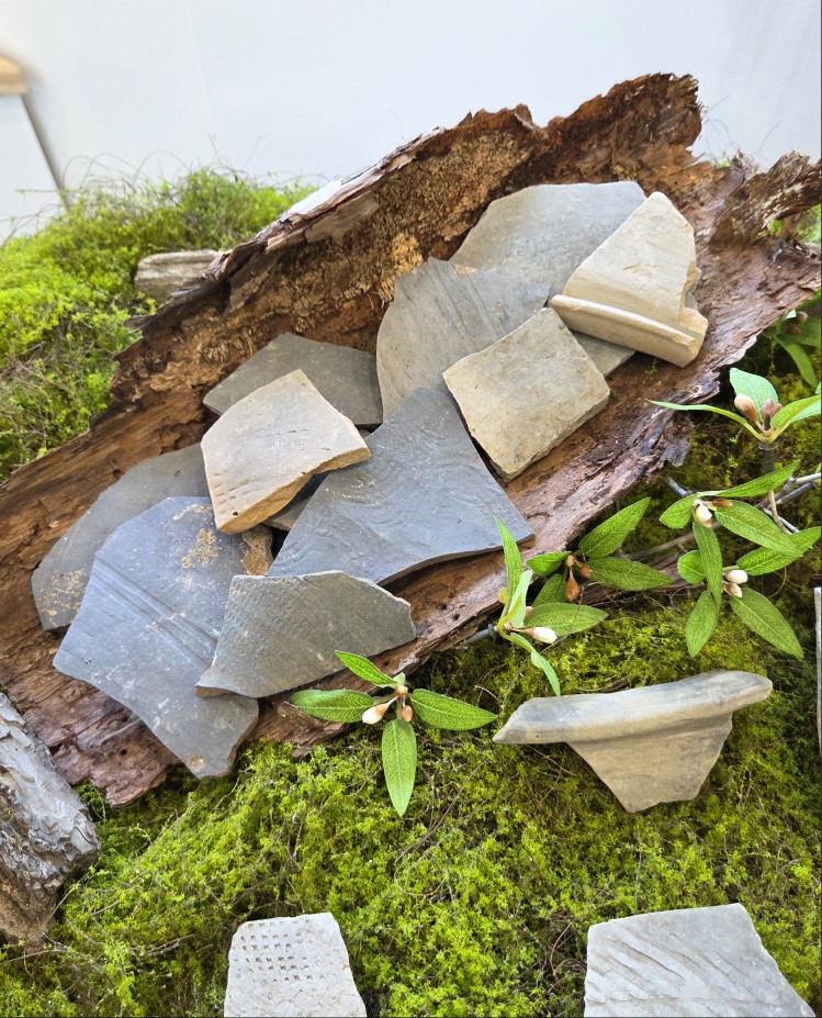 /user/s/ss5340/editor/2508/bb6c009fab299069561e20ad418dd6c8_1755168970_8561.jpg 이미지크게보기