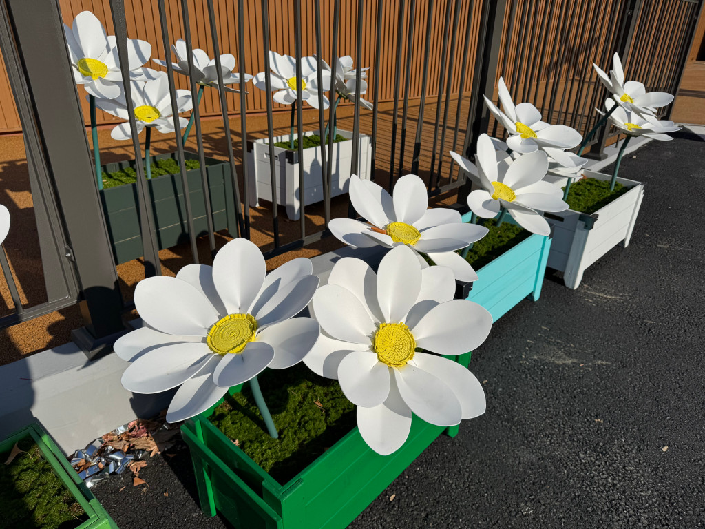 /user/s/ss5340/editor/2601/d6e0fac8609bd11ba42b0931519d3e30_1768197600_3382.jpg 이미지크게보기